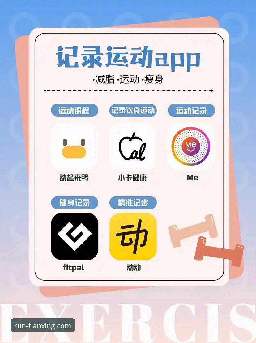天行体育应用下载选择指南：新手用户必看详解