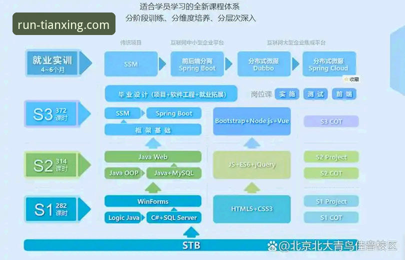 揭秘天行体育官方正版下载安装教程：从入门到精通的全维度解析